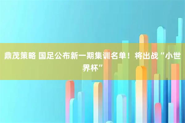 鼎茂策略 国足公布新一期集训名单!将出战“小世界杯”