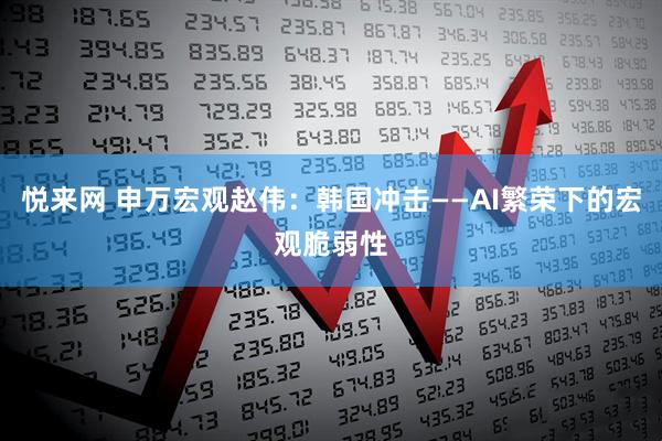悦来网 申万宏观赵伟：韩国冲击——AI繁荣下的宏观脆弱性